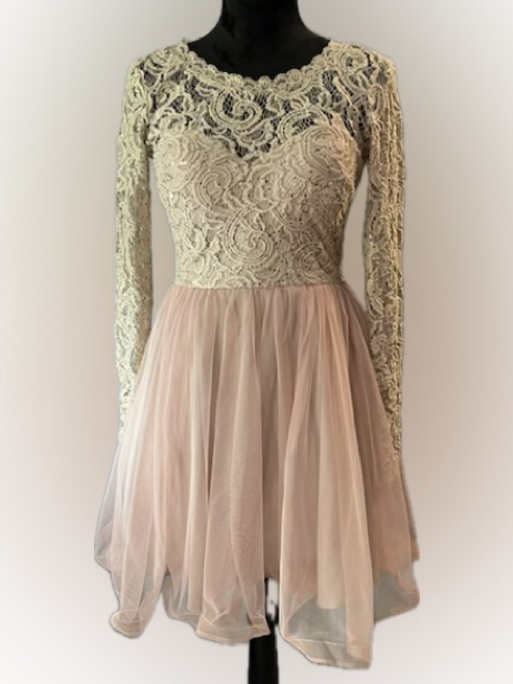 SEQUIN HEARTS Lace Bodice Long-Sleeve Tulle Skater Dress in Blush & Pinks